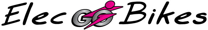 elecGo